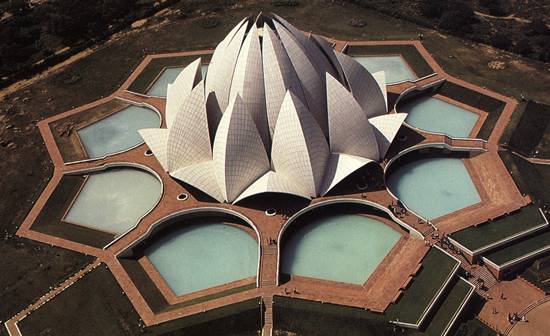 lotus3